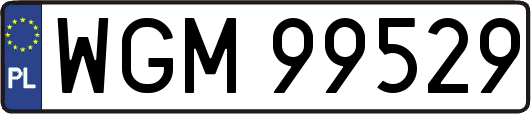 WGM99529