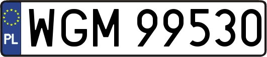WGM99530