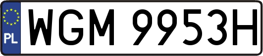 WGM9953H
