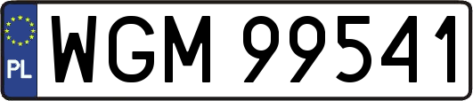 WGM99541