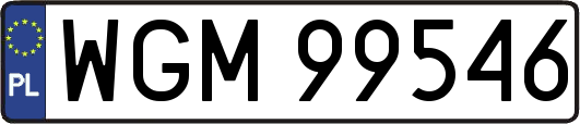 WGM99546