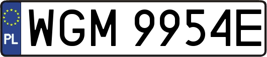 WGM9954E