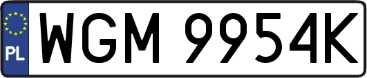 WGM9954K