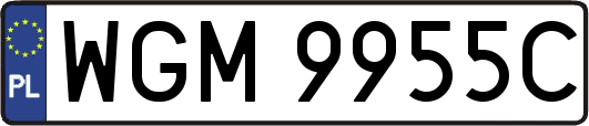 WGM9955C