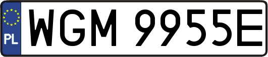 WGM9955E