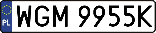 WGM9955K