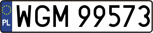 WGM99573