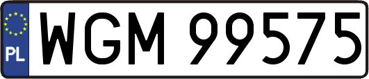 WGM99575