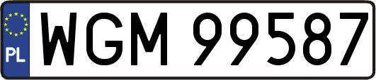 WGM99587