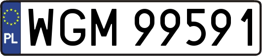 WGM99591