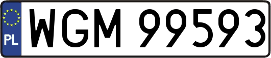 WGM99593