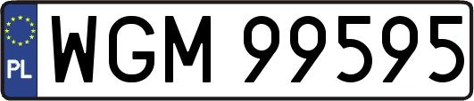 WGM99595