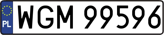 WGM99596