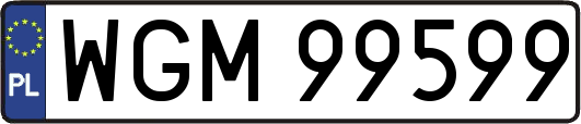 WGM99599