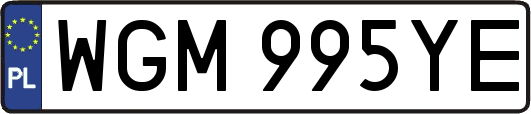 WGM995YE