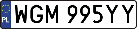 WGM995YY