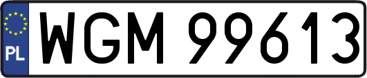 WGM99613