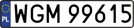 WGM99615