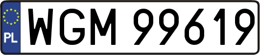 WGM99619