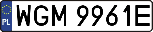 WGM9961E