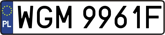 WGM9961F