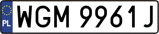 WGM9961J