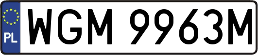 WGM9963M