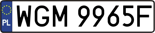 WGM9965F
