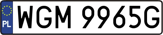WGM9965G