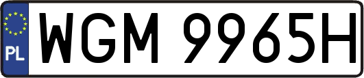 WGM9965H