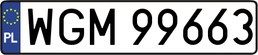 WGM99663