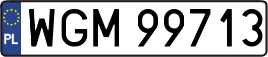WGM99713