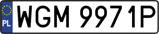 WGM9971P
