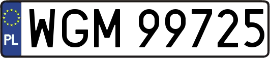 WGM99725