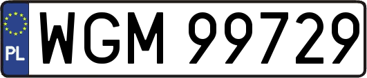 WGM99729