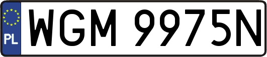 WGM9975N