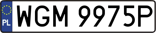 WGM9975P