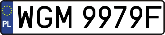 WGM9979F
