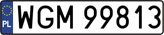 WGM99813