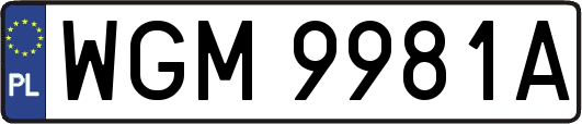 WGM9981A