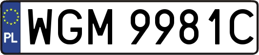 WGM9981C