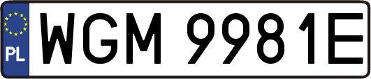 WGM9981E