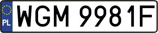 WGM9981F