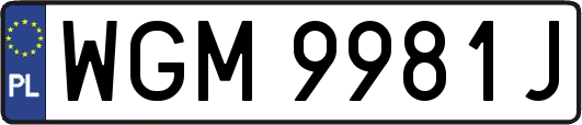 WGM9981J