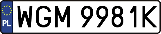 WGM9981K