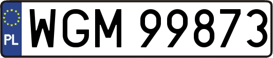 WGM99873