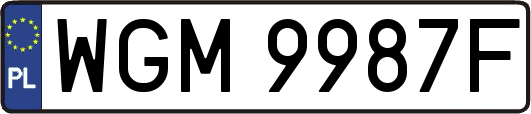 WGM9987F