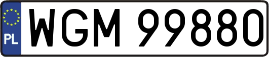 WGM99880