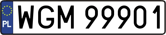 WGM99901