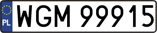 WGM99915